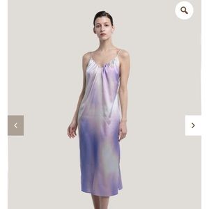 Gentle Herd Silk Slip Dress NWT